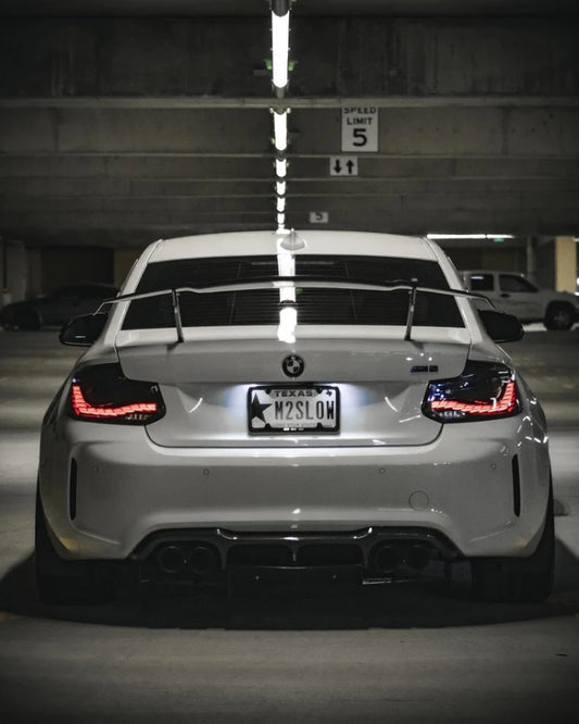 BMW F22 OLED TAIL LIGHT SMOKED